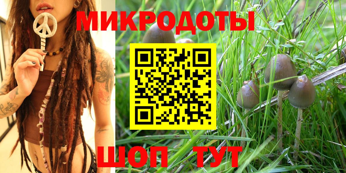 Псилоцибиновые грибы MAGIC MUSHROOMS  Вход с VPN  Зеленокумск 